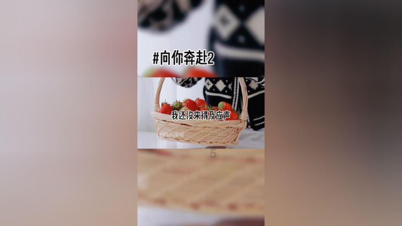 美妙圣诞节拼图